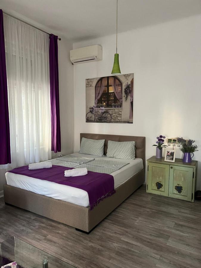 Center Cosy Vintage Apartment Novi Sad Exterior photo